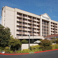 Four Points Sheraton - Thumbnail